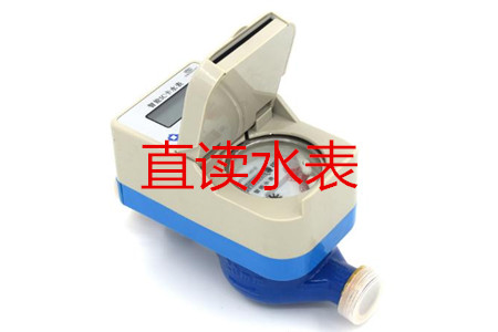 寧波生產(chǎn)直讀水表的廠(chǎng)家有哪些?