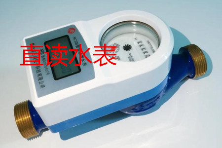 寧波生產(chǎn)直讀水表的廠(chǎng)家有哪些?